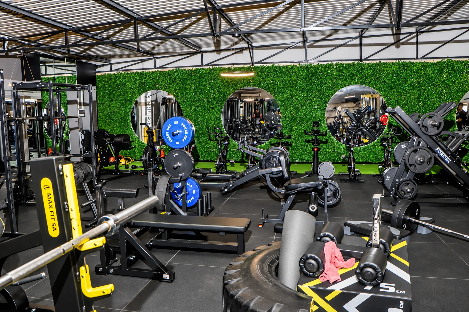 Strength machines, benches and weight plates at Gagu